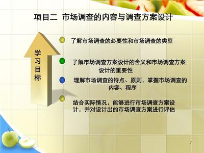 市場調(diào)查與預(yù)測 項(xiàng)目二的實(shí)踐指南